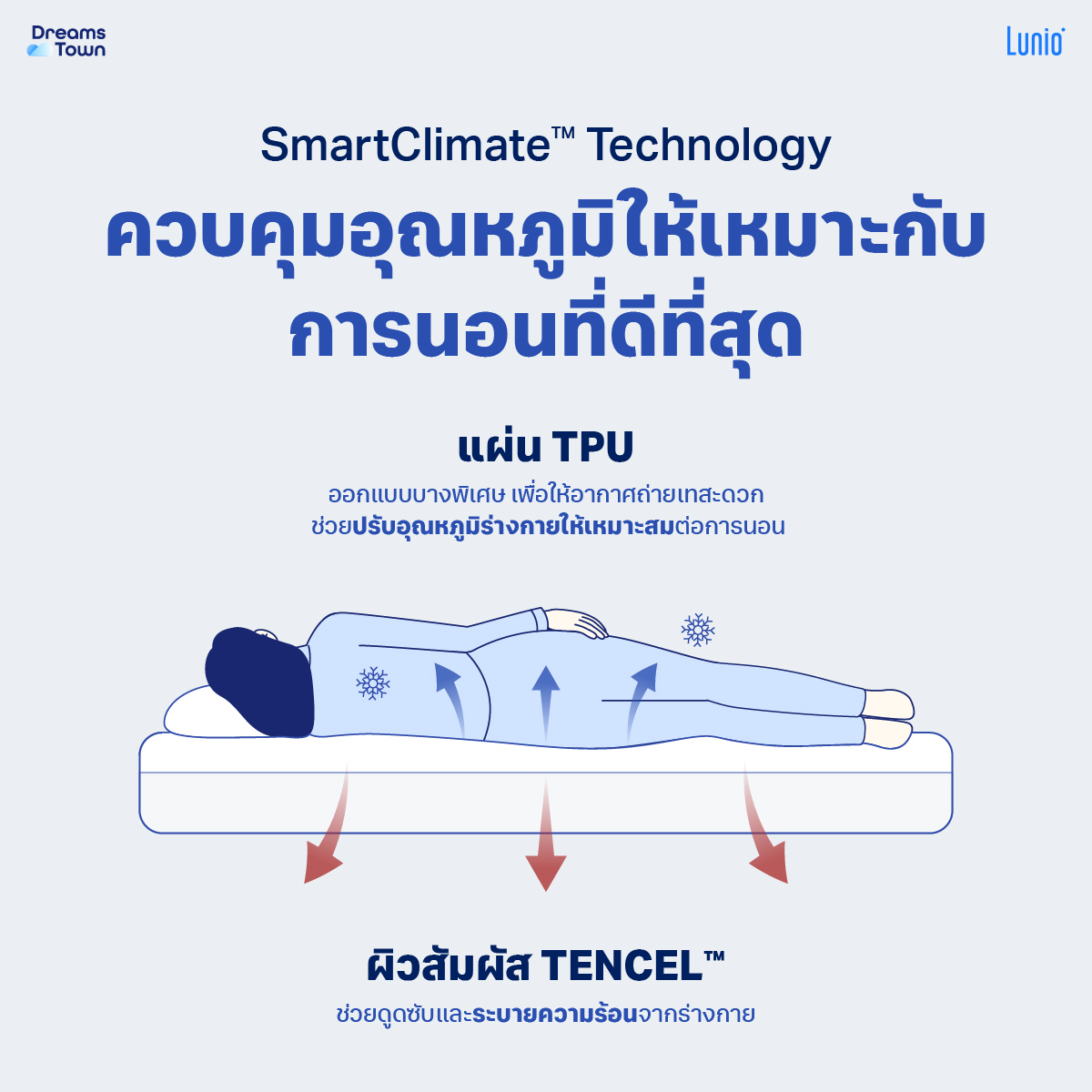 ผ้ารองกันเปื้อน 5 ฟุต LUNIO SMARTGUARD PROTECTOR_4